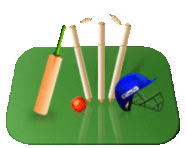 Cricket