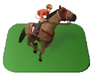 Hourse Racing