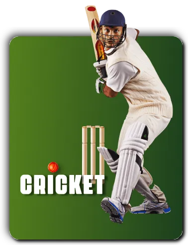 Cricket