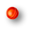Cricket Ball